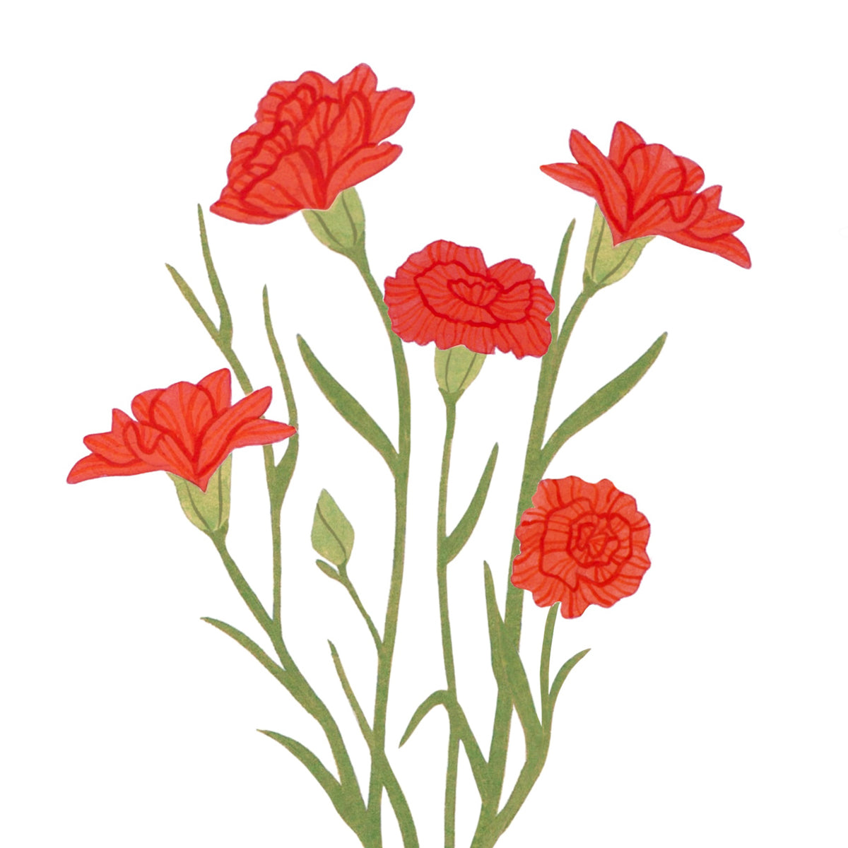 Ohio - Red Carnation – brooklynswenson