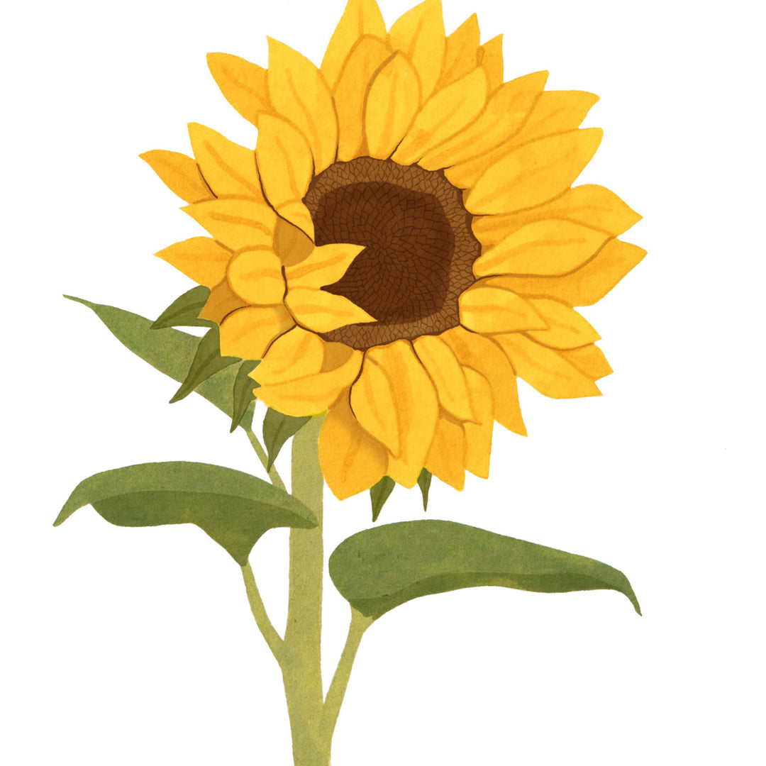 絵画 sunflower Sunflower Speed Drawing | Watercolor & Colored Pencil Art