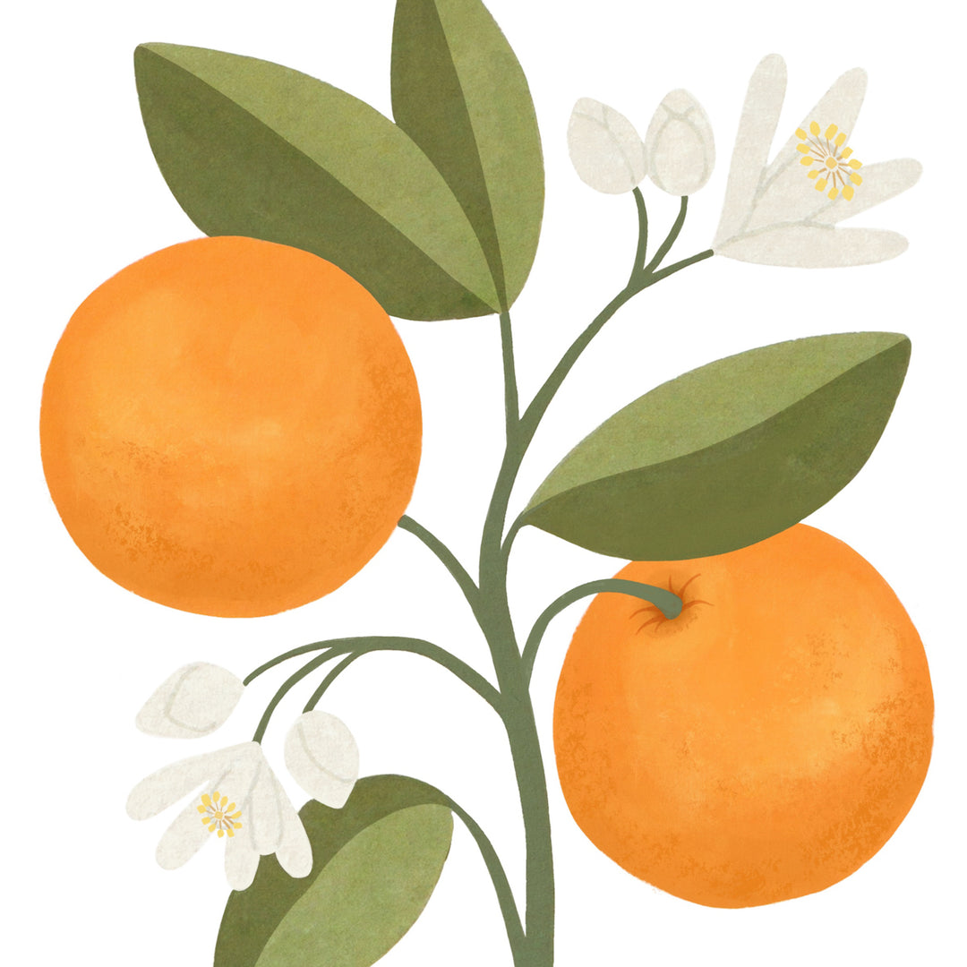 orange blossom　美品✨アナイ　バテンフウエンブロイダリ IMG_8281_1080x.jpg?v=1741398848