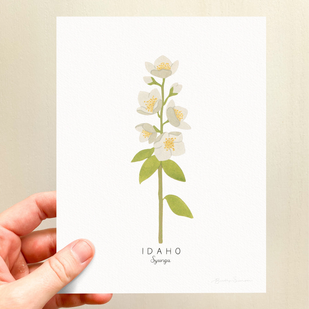 Idaho - Syringa – brooklynswenson