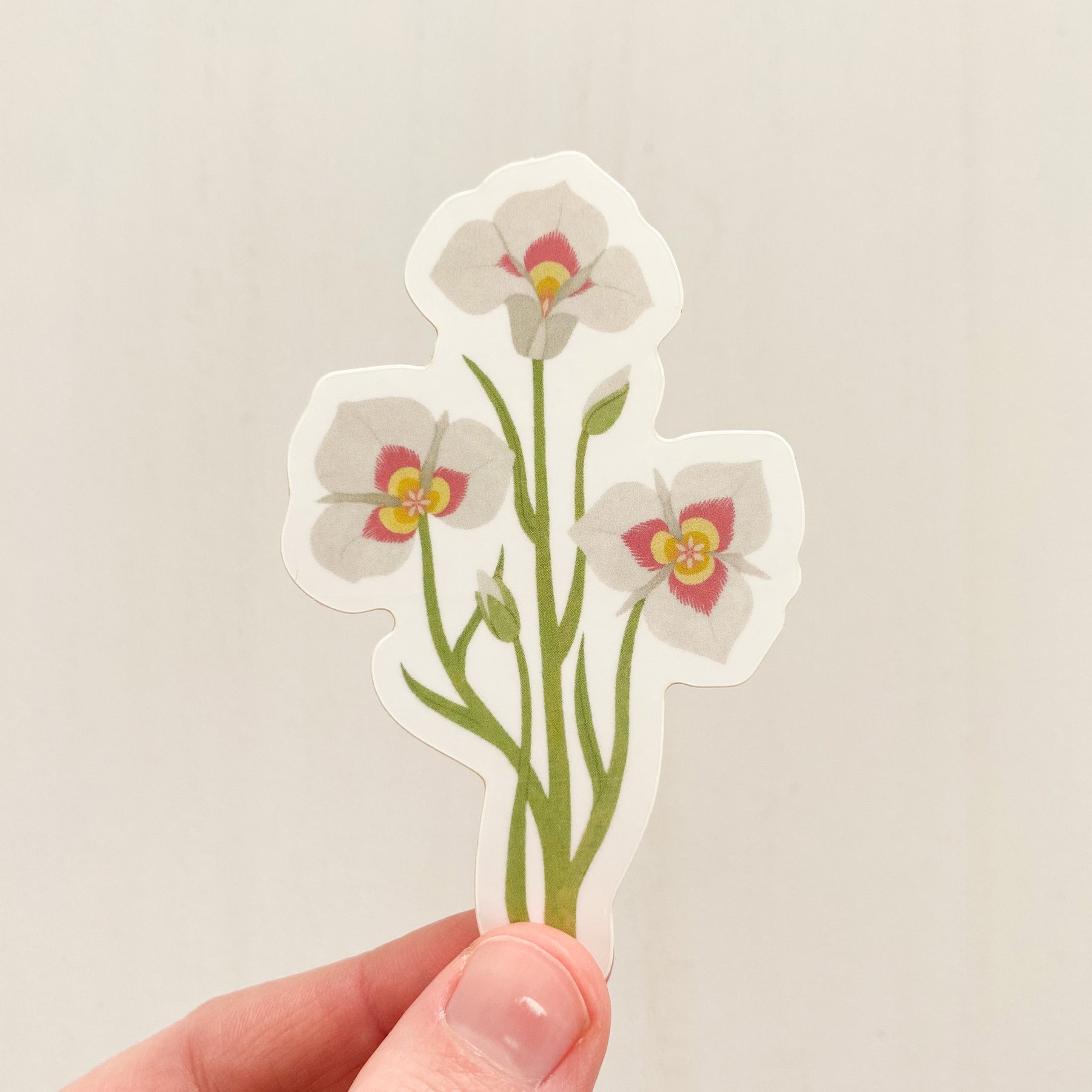 utah state flower sego lily Utah State Flower Sticker