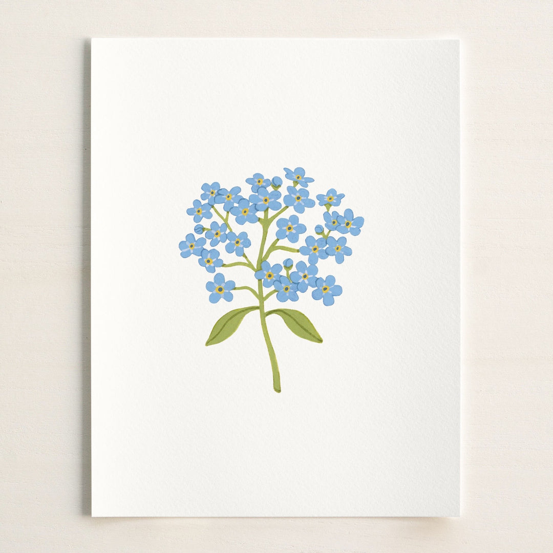 Forget-me-not Flower – brooklynswenson